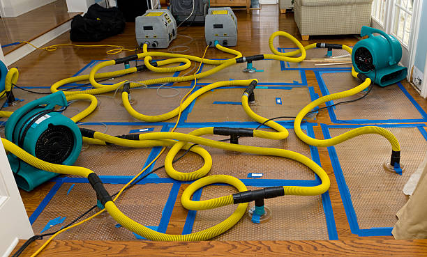 Professional Structural Drying And Dehumidification technician working in Oakdale, MN